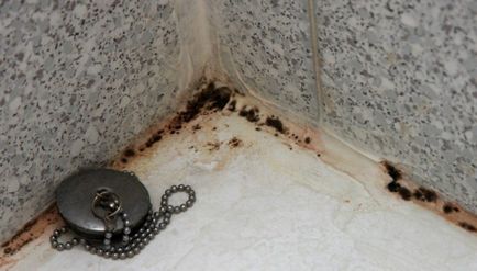 Cum sa scapi de mucegai în baie, anti-ciuperca - matrița de plumb