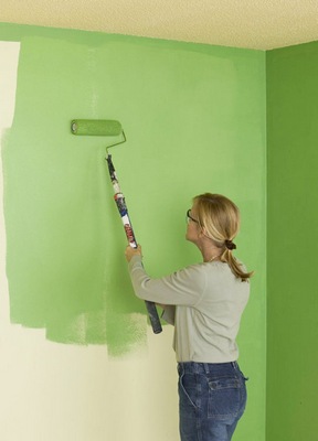 Cum să picteze pereții într-o selecție de culoare de vopsea de cameră și la rola de lucru - articolele mele -