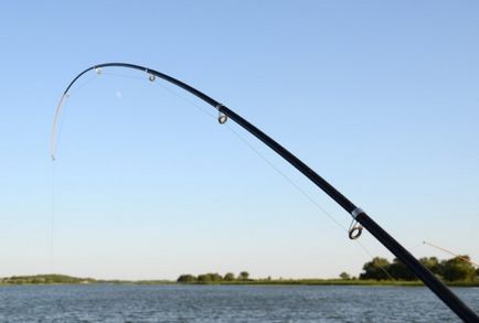 Cum de a captura bas, în vara pe o tijă de pescuit, Donk și filarea