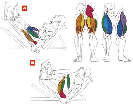 Cum de a construi piciorul nou venit exerciții eficiente pentru picioare