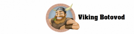 Cum să trișeze abonații VKontakte gratuit viking botovod