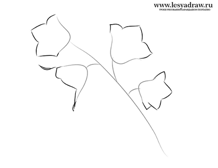 Cum de a desena un creion etape de flori clopot - lectii de desen - utile cu privire la artsphera