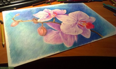 Cum de a desena orhidee creioane colorate treptat