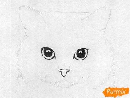 Cum de a desena un portret de pisica cu par scurt britanic