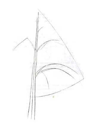 Cum de a desena un copac de pin, cu un creion sau vopsea în etape