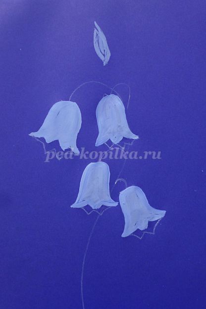 Cum de a desena un clopote de flori etape (remiză) Cum de a desena un clopote de flori etape