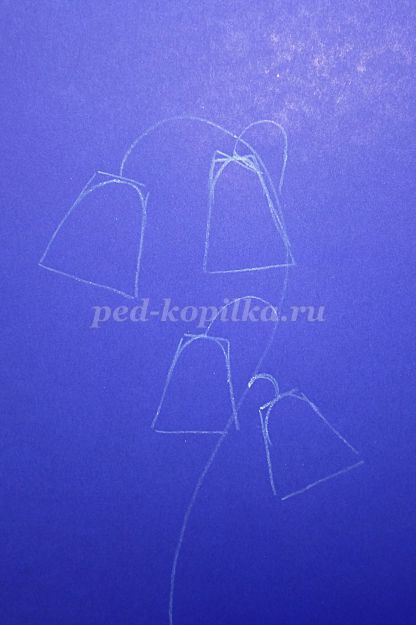 Cum de a desena un clopote de flori etape (flori) Cum de a desena un clopote de flori etape