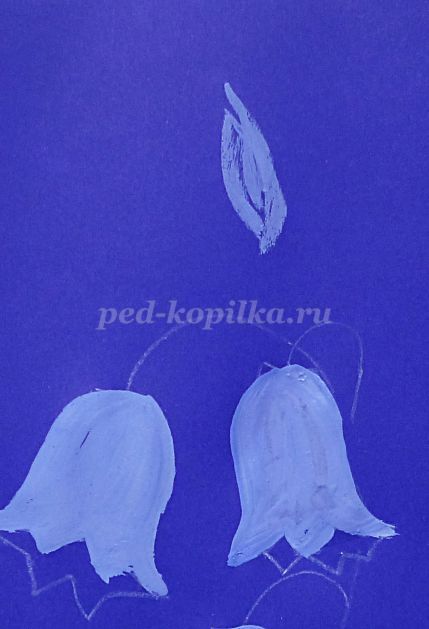 Cum de a desena un clopote de flori etape (clopote) Cum de a desena un clopote de flori etape