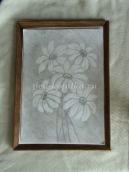 Cum de a desena un clopote de flori etape (flori) Cum de a desena un clopote de flori etape