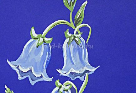 Cum de a desena un clopote de flori etape (flori) Cum de a desena un clopote de flori etape