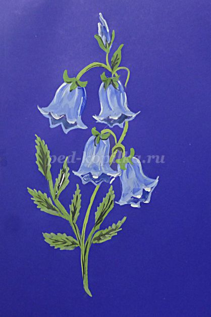 Cum de a desena un clopote de flori etape (remiză) Cum de a desena un clopote de flori etape