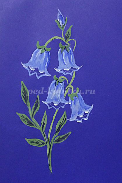 Cum de a desena un clopote de flori în etape (pas cu pas) Cum de a desena un clopote de flori etape