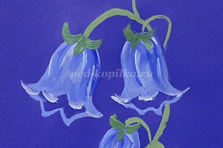 Cum de a desena un clopote de flori etape (flori) Cum de a desena un clopote de flori etape