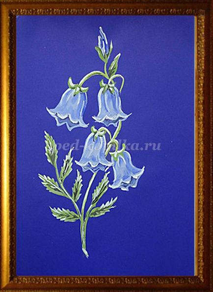 Cum de a desena un clopote de flori în etape (pas cu pas) Cum de a desena un clopote de flori etape