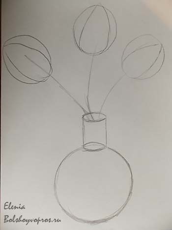 Cum de a desena o lalea într-un creion etape vaza