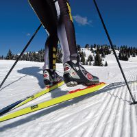 Cum să învețe să schieze curs creasta