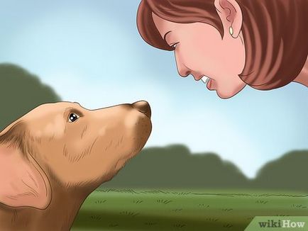 Cum de a comunica cu cainele tau