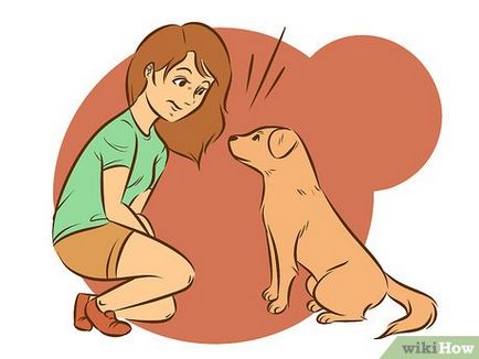 Cum se dezvata un câine din comportamentul desfrânat