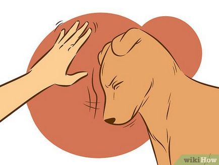 Cum se dezvata un câine din comportamentul desfrânat