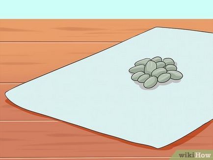 Cum să planteze semințe de floarea-soarelui