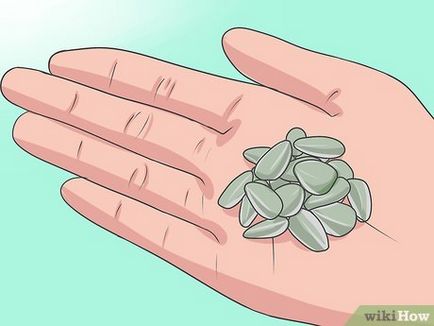 Cum să planteze semințe de floarea-soarelui