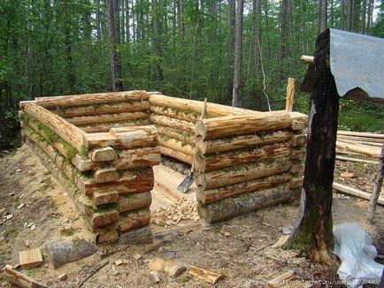 Cum de a construi o cabină în pădure