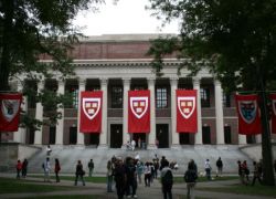 Ce este de făcut în Harvard