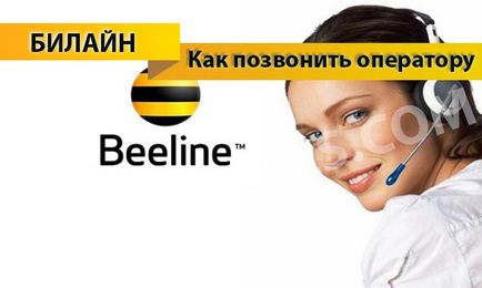 Cum de a apela Beeline operatorului - suport operatorului numerele de telefon Beeline