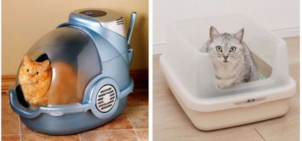 Cum de a obișnui pisica la tavă, du-te la noua toaleta cu o umplutură și fără, cu un grilaj