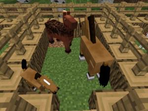Cum de a crește animale în Minecraft