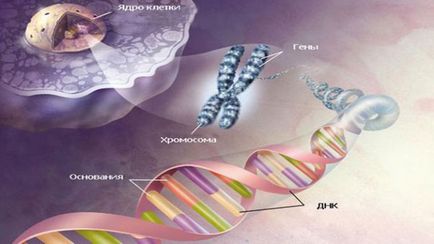 Cum de a rezolva problemele legate de genetica biologiei
