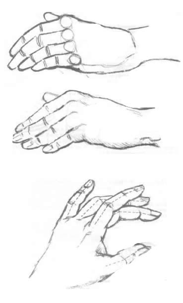 Cum de a desena o mână cu un creion