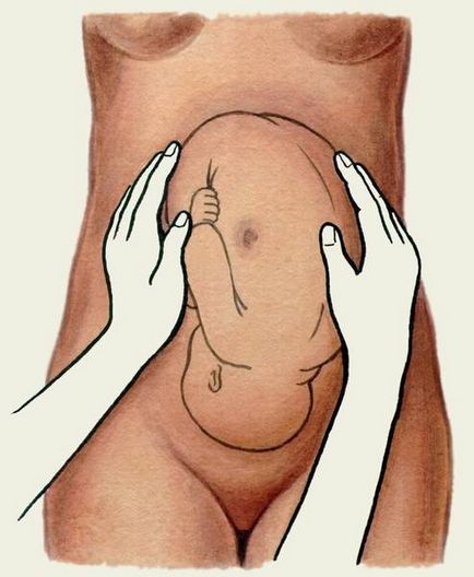 stabilească în mod autonom poziția fătului în uter, pentru a distinge prezentarea cefalică a pelviene