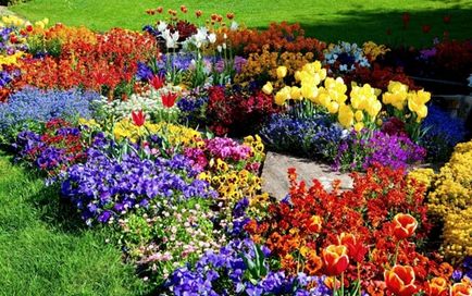 Cum sa faci un pat cu mâinile fotografie de paturi de flori și tehnologie de plantare