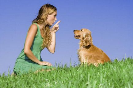 Cum de a face câinele furios la secretele altor oameni de formare de câine și de formare pentru animale de companie