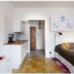 Cum se pot combina în bucătărie și dormitor într-un design camera în fotografie