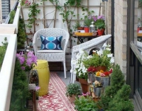 Cum de a decora un balcon cu flori, 16 poze cu aranjamente florale, recomandări pentru cultivarea de iarnă