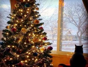 Cum de a decora un pom de Crăciun în 2018. Alegerea de ghirlande și jucării, metode de decorare