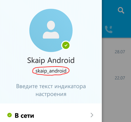 Cum să știu de conectare în Skype