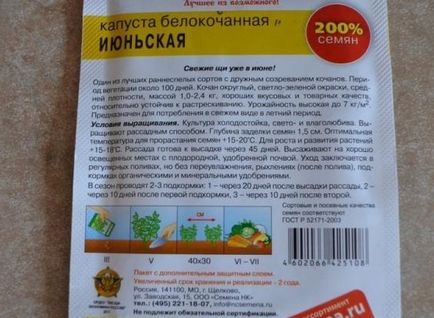 Cum să crească răsaduri de varză în casă - regulile de cultivare și îngrijire