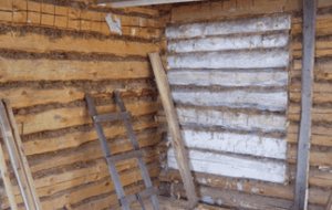 Cum de a alinia perete într-o casă de lemn pe cont propriu