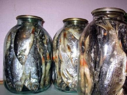 Cum se păstrează pește uscat la domiciliu 3 2 pe termen scurt și lung metoda