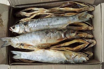 Cum se păstrează pește uscat la domiciliu 3 2 pe termen scurt și lung metoda