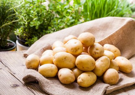 Cartofii sunt secretele unei recolte bune