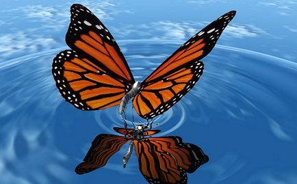 Ce vis carte de vis fluture - fluture într-un vis