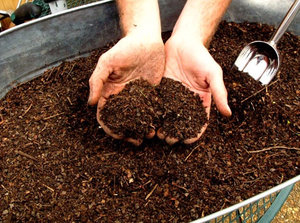 Compostul care este, cum să se pregătească îngrășământul cu mâinile lor