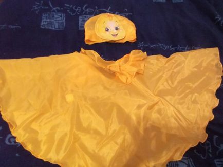 Costume pentru basmul „The Gingerbread Man“