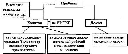 ciclu de capital, stadiul său, formele funcționale