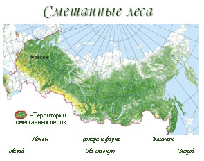 Zona Pădurea România