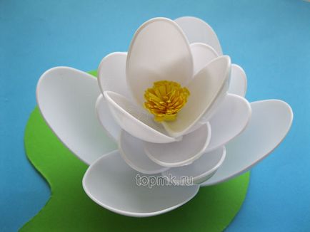 clasa de lotus maestru de linguri de plastic și hârtie colorată, cu propriile sale mâini